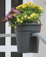 Balkonbak Flowerclip